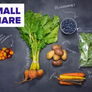 SMALL CSA